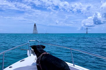 Snorkel the Coral Reef and Explore the Waters of Key West