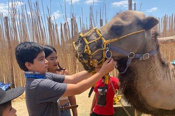 Combo Camelback Safari and ATV Ride Combo Tour Adventure 