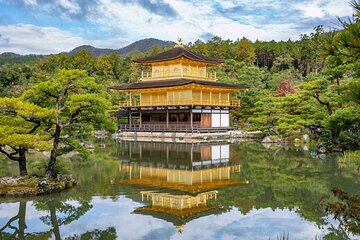 Kyoto top must-see Golden pavilion and Bamboo forest half-day Private tour 