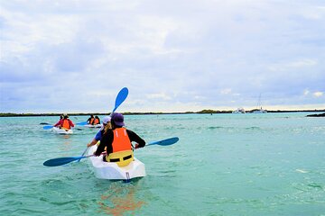 5 Days Adventure in Galapagos Two Islands