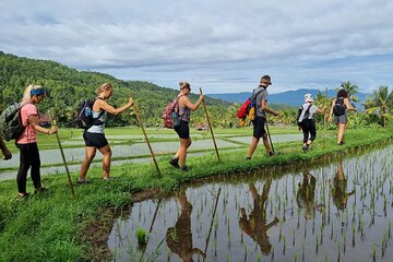 Heart of Bali, a 5-day walking journey through the island of Gods