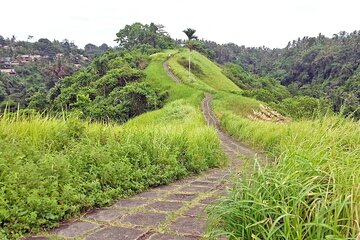 Full Day Ubud Private Tour