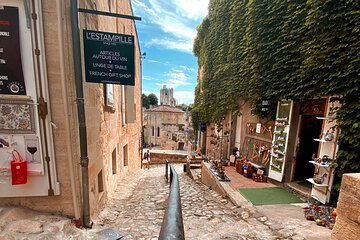 Saint Emilion Afternoon Wine Tour with Winery Visits & Tastings from Bordeaux