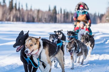 Private Guided Chena River Mush Dream Vacation in Fairbanks