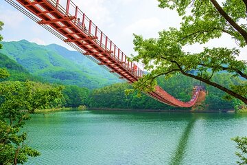 Private DMZ Peace Tour: 3rd Invasion Tunnel(Monorail) and Suspension Bridge