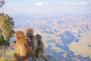 10 Days Simien Mountains Trekking, Adi Arkay via Ras Dashen 