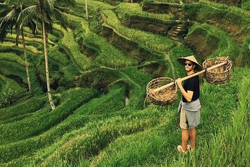 Private Tour Ubud - Best of Ubud with All Inclusive