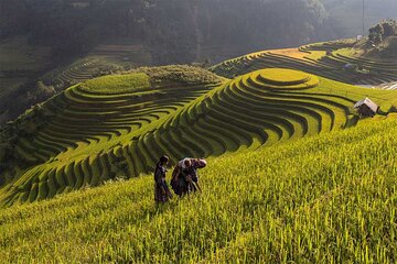 Mu Cang Chai Trekking Tour 3 Days 2 Nights