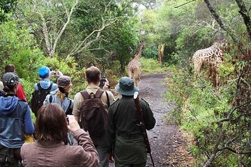 Arusha National Park (Best suited for family and walking safari)