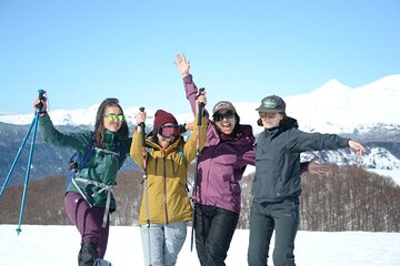 Excursion Los Nevados, Villarrica National Park