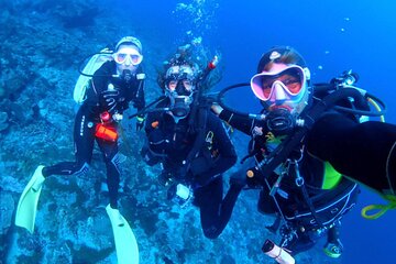 Bali Diving at Tanjung Benoa