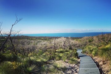 Guided Walk in North Head, Manly with Nature, History and Culture