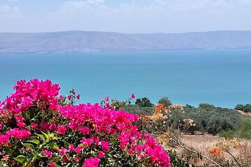 Galilee Day Tour