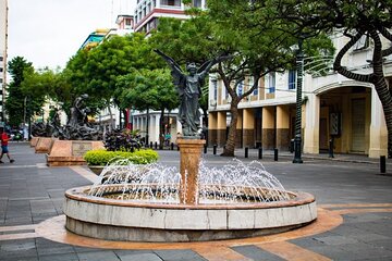 Half Day Walking Tour of Guayaquil Pearl of the Pacific