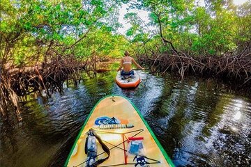 Fort Lauderdale Bonnet House Ground and Guided Paddle Board Kayak