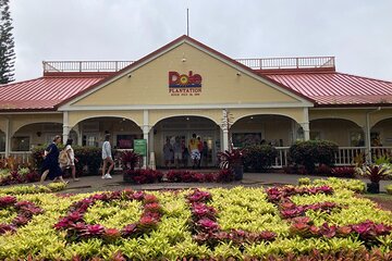 "The Dole Plantation" & "North Shore" Private Limousine VIP Tour!