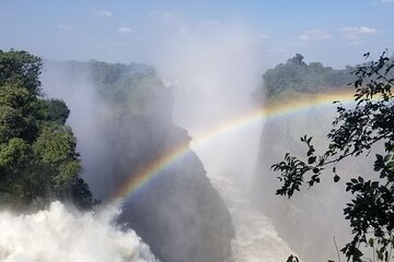 Guided Falls Tour & Zambezi River Cruise Combo