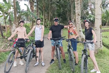 Bali Rural Eco Private Bike Tour in Ubud with Lunch