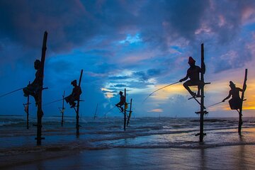 14-Days Private Tour in Sri Lanka with Pick Up