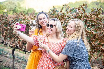 Alcudia Winecellar Tour with Vineyard Visit, Tasting of 5 Wines