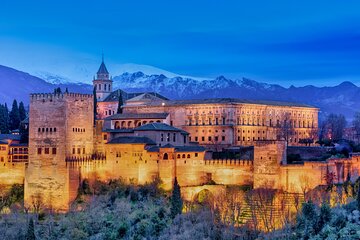 Full Day Private Tour in Alhambra from Malaga