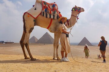 Private Full Day Tour Cairo museum and Giza pyramids from Hurghada by plane