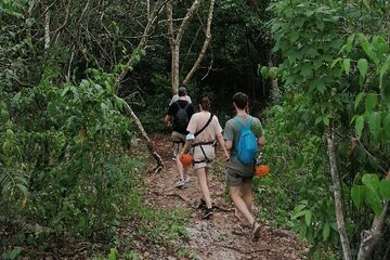 Tulum Monkey Sanctuary Tour Punta Laguna