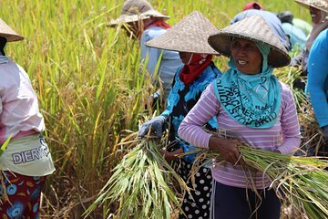 Day with a Balinese Family in a Village