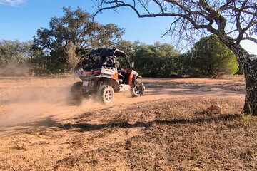 Buggy Expedition - Half-Day Off-Road Guided Tour from Albufeira