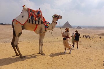 Private Tour Cairo Museum Giza Pyramids by round Plane