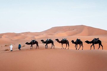 3 Days Tour Marrakech to Merzouga