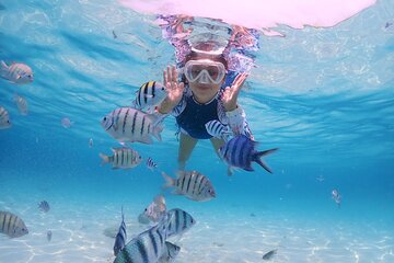  Bali Best Snorkeling Blue Lagoon with Lunch & Guide 