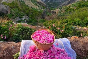 Private Oman Full Day Guided Sightseeing Tour