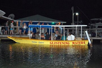 Luminous Lagoon Nighttime Boat Tour from Montego Bay