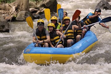 Bali White Water Rafting Including Lunch and Transport