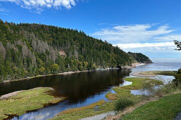 Go Fundy Tours