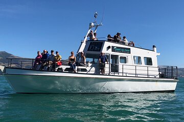 Akaroa Wildlife Cruise