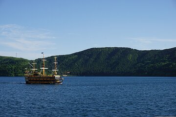 Private Hakone Sightseeing Tour with English Speaking Driver