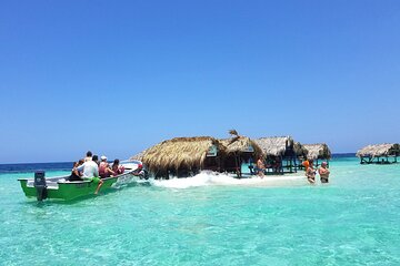 Private Tour to Paradise Island with Snorkel & Manatee Sanctuary