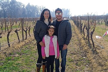  Cousiño Macul Vineyard - Maipo Valley - Premium Tasting - HD