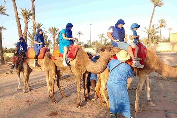 Marrakech Palm Grove Camel Ride with Tea-Break