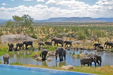 Isimangaliso Wetlands, plus Hippo & Croc Boat Cruise Full Day Tour from Durban