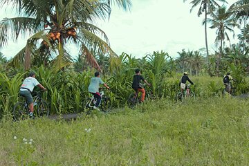 Bali Eco Cycling Tour