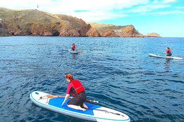 Berlengas Island Catamaran Tour + SUP 