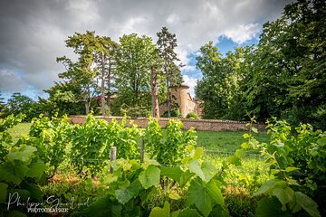 Custom Planned Beaujolais Vineyard Tour - Private Driver - Lyon 