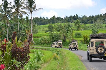 Bali 4WD Adventure WakaLand UNESCO Jatiluwih Trip in Bali Outback