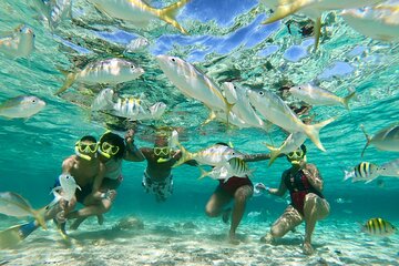 Private Tour to Paradise Island with Snorkel & Manatee Sanctuary