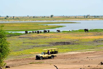 3 Days in Victoria Falls & Chobe National Park Combo