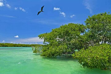 Nature Day, Sian Kaan Biosphere Tour! Round Transportation from Tulum City