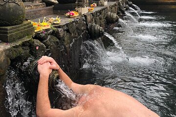 Bali Swing Ubud Hot Spring Waterfall Private Tour Free WiFi 